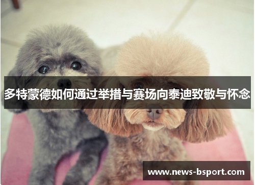 多特蒙德如何通过举措与赛场向泰迪致敬与怀念
