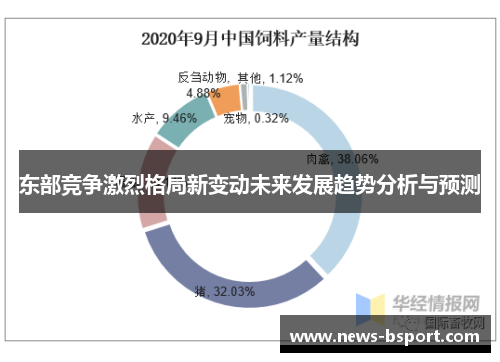 东部竞争激烈格局新变动未来发展趋势分析与预测