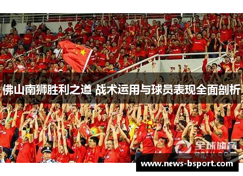 佛山南狮胜利之道 战术运用与球员表现全面剖析